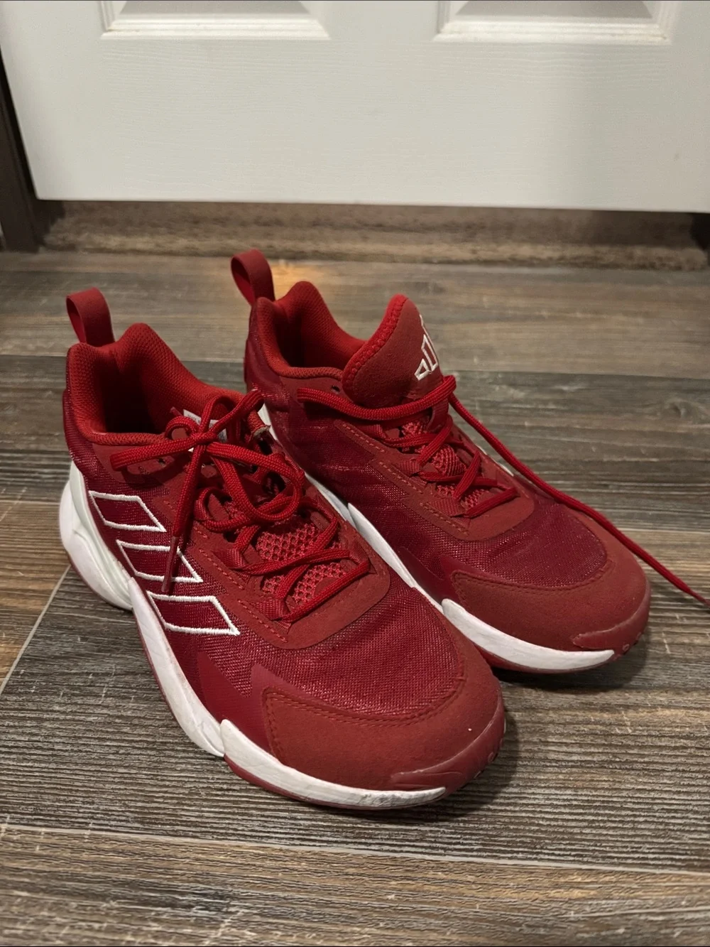 adidas Red Athletic Shoe Interior Label Detail